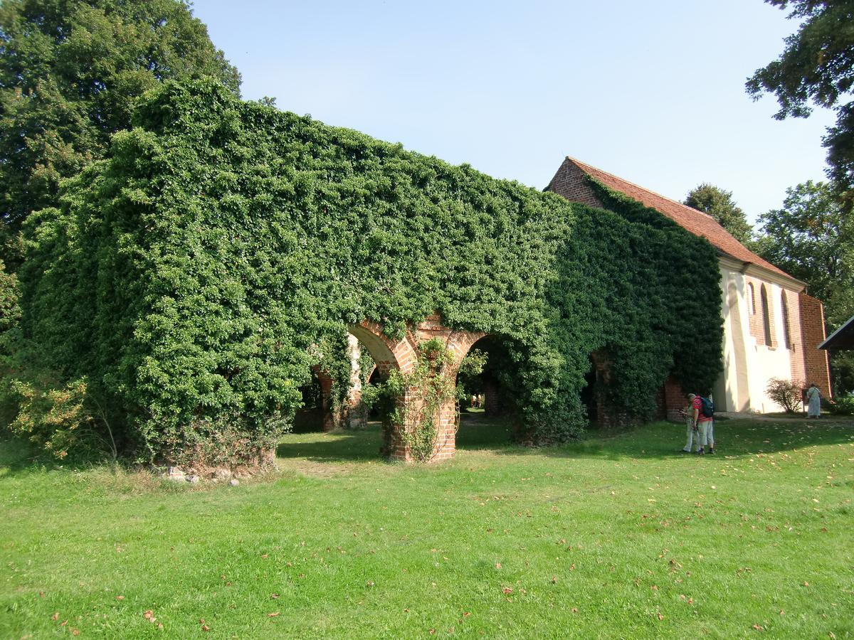 Hotel Zum Birkenhof Stechlin Екстериор снимка